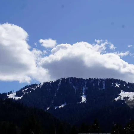 Rainerkraemer * Scheffau am Wilden Kaiser