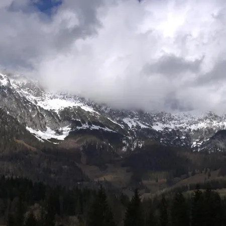 Apartment Rainerkraemer Scheffau am Wilden Kaiser